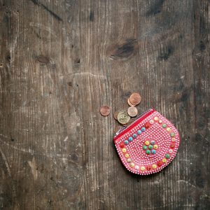 geldbeutel-foerderung-solar-deutschland-oesterreich-schweiz