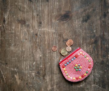 geldbeutel-foerderung-solar-deutschland-oesterreich-schweiz