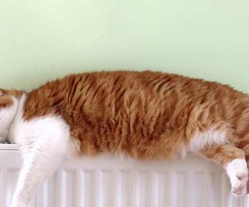 Heizkostenabrechnung zu hoch? Heizkosten sparen