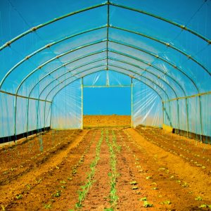 Klimaskeptiker auf dem Prüfstand