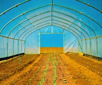 Klimaskeptiker auf dem Prüfstand