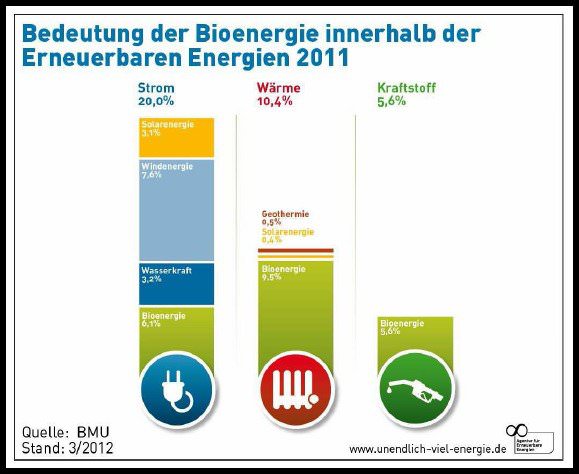 Anteile Biomasse an Energie