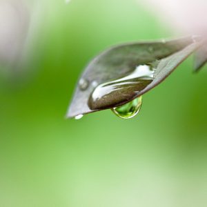 Was unterscheidet wassergeführte Solaranlagen von den herkömmlichen?