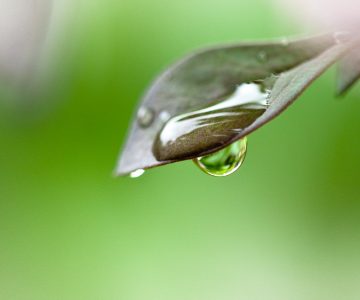 Was unterscheidet wassergeführte Solaranlagen von den herkömmlichen?