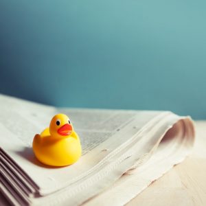 Röhrenkollektor Marktübersicht