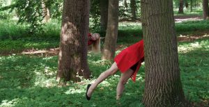 Solarteure auf Facebook