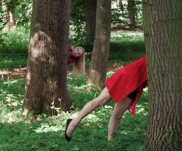 Solarteure auf Facebook