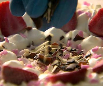 solare prozesswärme