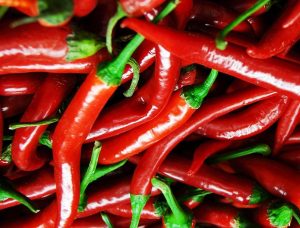 thermische Stagnation bei Solaranlagen