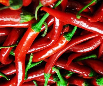 thermische Stagnation bei Solaranlagen