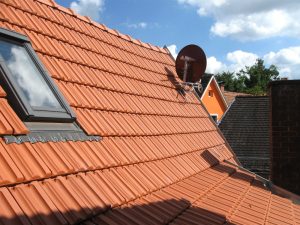 Unser Dach am Nachmittag. Foto: Alice Scheerer