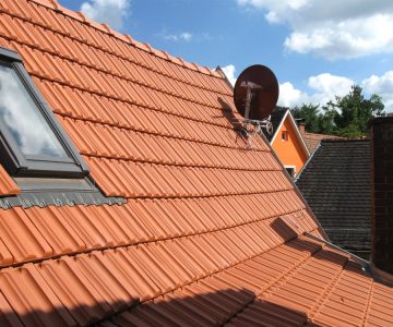 Unser Dach am Nachmittag. Foto: Alice Scheerer