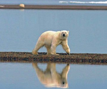 Wie deftig müssen Klima-Wissenschaftler werden, um uns aufzurütteln?