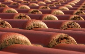 Simulationssoftware für Solarthermie