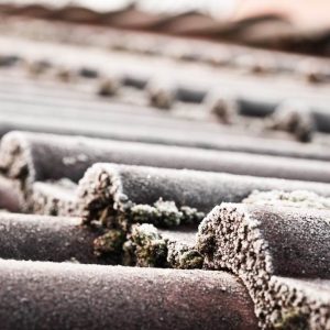 Solarthermie im Winter: ein Vergleich Wasser Glykol