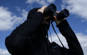 Wartung und Inspektion einer Solarthermie-Anlage