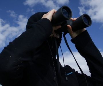 Wartung und Inspektion einer Solarthermie-Anlage