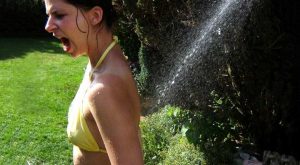 Absorber einer Solarheizung