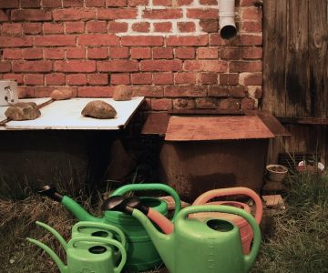 Solarertrag steigern - wie geht das