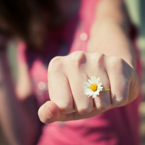 Fausformeln Solarthermie