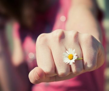 Fausformeln Solarthermie