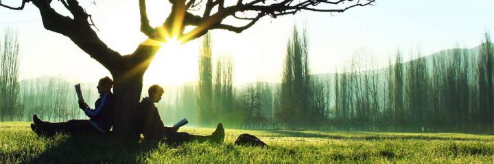 Last Minute Studienplatze In Erneuerbaren Energien