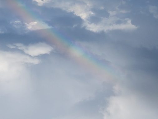 Sonnenlicht ist ein kleiner Teil des Spektrums aller elektromagnetischen Wellen: Ein Regenbogen zeigt große Ähnlichkeit mit den Spektralfarben.