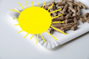 Holzpellets plus Sonnenheizung