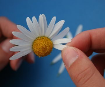 Heizungs-Trends SHK-Installateure prognostizieren Trends für alle Heizungsarten bis 2021