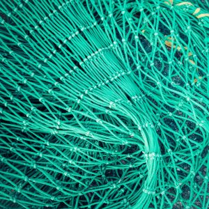 Homepage von Projekt für solare Prozesswärme Solar Payback ist online