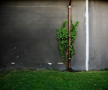 heizwasser-bakterien-biofilm-mikroorganismen-bakterien