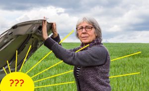 Solarwärmenetze als Motor der Energiewende