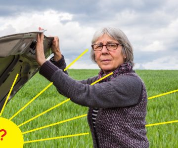 Solarwärmenetze als Motor der Energiewende