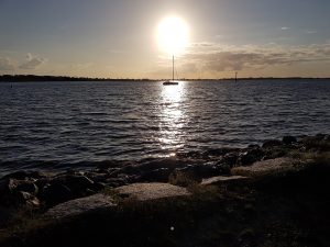 Solarthermie 2017 Rückblick