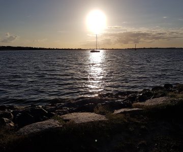 Solarthermie 2017 Rückblick