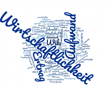 Wirtschaftlichkeit Definition