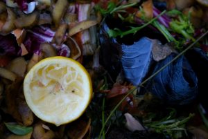 Brennstoff-Check Biomasse Biogas