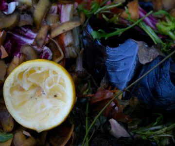 Brennstoff-Check Biomasse Biogas