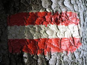 Flagge Österreich Marktstudie Erneuerbare 2017