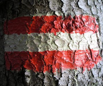 Flagge Österreich Marktstudie Erneuerbare 2017