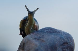 #hope4future_energieberater