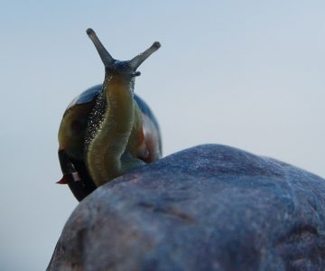 #hope4future_energieberater