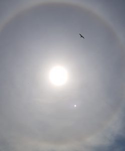 Sonne_News_Halo_22_Grad_Ring