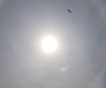 Sonne_News_Halo_22_Grad_Ring