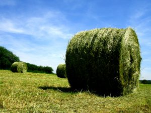 Heizen mit Halmgut_Heuballen