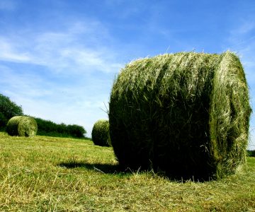 Heizen mit Halmgut_Heuballen