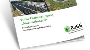 Gründach mit Solarthermie-Anlage