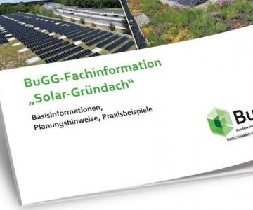Gründach mit Solarthermie-Anlage