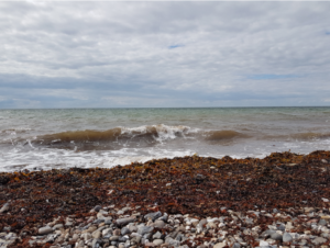 Renovation Wave der EU