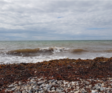 Renovation Wave der EU